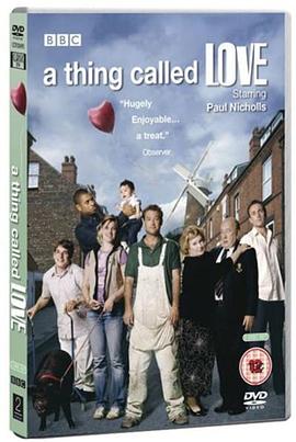 所谓爱情封面图