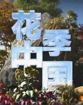 花季中国封面图
