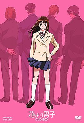 花样男子封面图