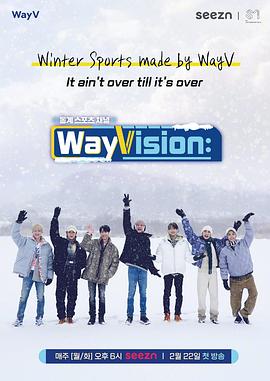 WayVision 2封面图