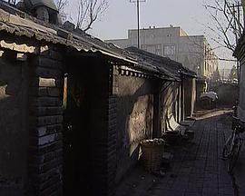 回到凤凰桥封面图