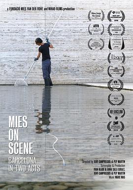 聚焦密斯封面图