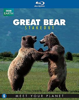 灰熊的夏日封面图