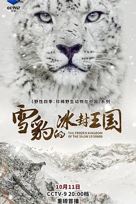 雪豹的冰封王国封面图