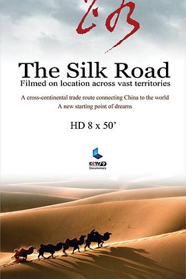 丝路，重新开始的旅程封面图