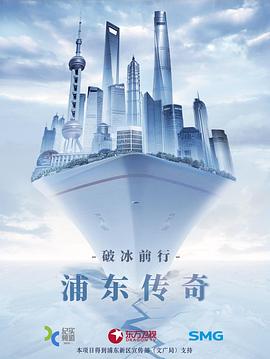 浦东传奇封面图