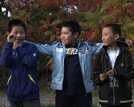 成长的秘密之小学时代封面图