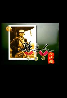 孙立人沉浮录封面图