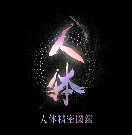 NHK特别节目 人体 神秘的巨大网络封面图