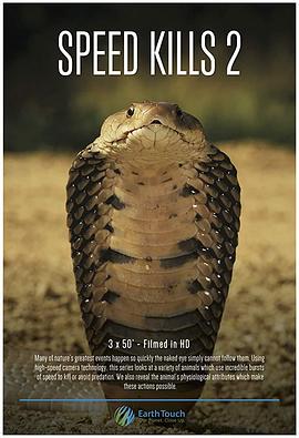 极速猎杀 第二季封面图