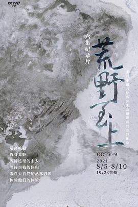 荒野至上封面图