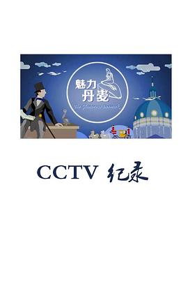 魅力丹麦封面图