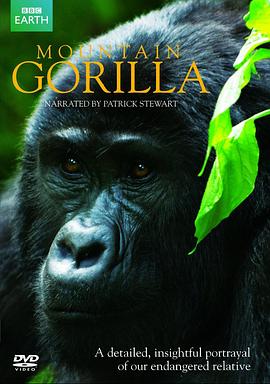 山地大猩猩封面图