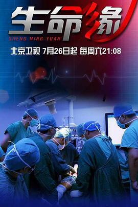 生命缘 第二季封面图