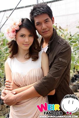 爱神之影封面图