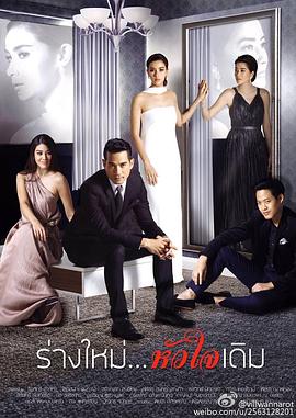 爱情计谋封面图