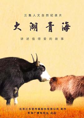 大湖 青海封面图