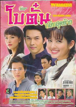 牡丹花的最后一瓣封面图