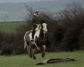 威廉·戈尔丁之梦封面图