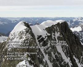 生命的力量封面图