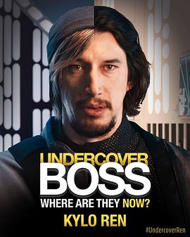 周六夜现场：亚当·德赖弗/哈尔希封面图