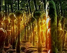 中国现代奇迹封面图