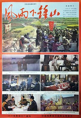 风雨下钟山封面图