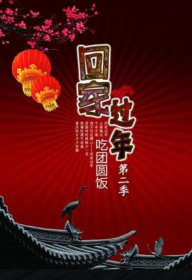 回家过年 第二季封面图