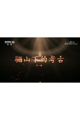 骊山下的考古封面图