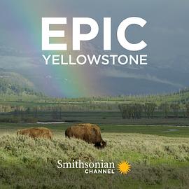 黄石公园封面图