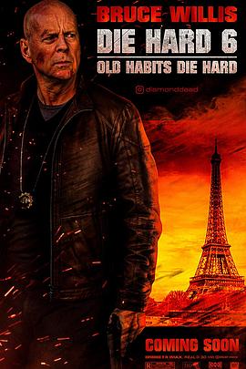 虎胆龙威6：麦克莱恩封面图