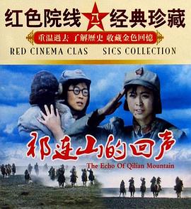 祁连山的回声封面图