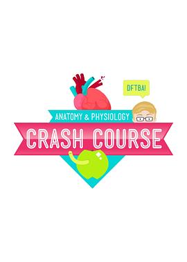 十分钟速成课：解剖与生理 第一季封面图