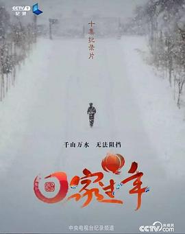 回家过年 第一季封面图