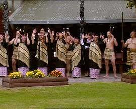 BBC 新西兰之旅封面图