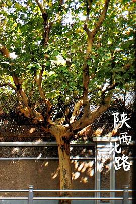 陕西北路封面图