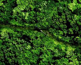 直升机战争封面图