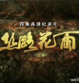 丝路花雨封面图