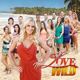 荒野求爱 第二季封面图