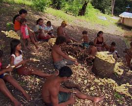 尚米榭库斯托海洋探险封面图