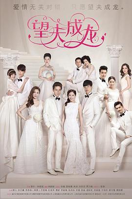 望夫成龙封面图