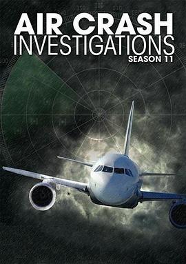 空中浩劫 第十一季封面图