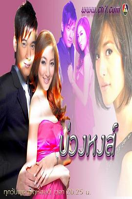 天鹅套索封面图