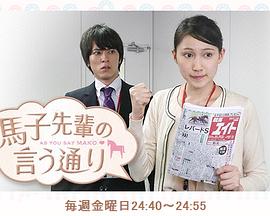 如马子前辈所言封面图