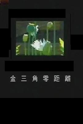 凤凰大视野：金三角零距离封面图