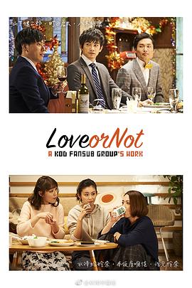 Love or Not封面图