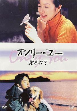 爱的真谛封面图