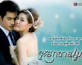 云上的宝石封面图