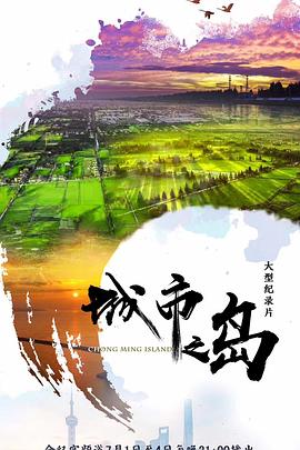 城市之岛封面图