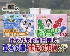 岚的世纪大实验封面图